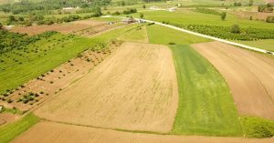 Yatırımlık Arsa Seçimi Nasıl Yapılır? Yatırımlık Arsa Seçimi Nasıl Yapılır?