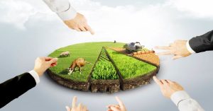 Hisseli Arsa Fiyatları Hisseli Arsa Fiyatları