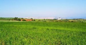 Yatırımlık Arsa Nasıl Alınır?