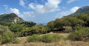 Yatırımlık Arsa Nasıl Alınır? Yatırımlık Arsa Nasıl Alınır?