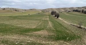 Hisseli Arsa Nasıl Alınır?