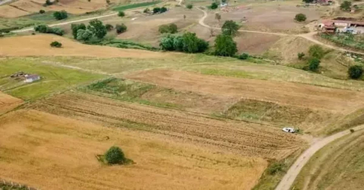 Hisseli Arsa Nasıl Alınır?