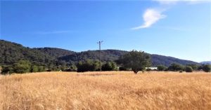 Yatırımlık Arsa Nasıl Bulunur? Yatırımlık Arsa Nasıl Bulunur?