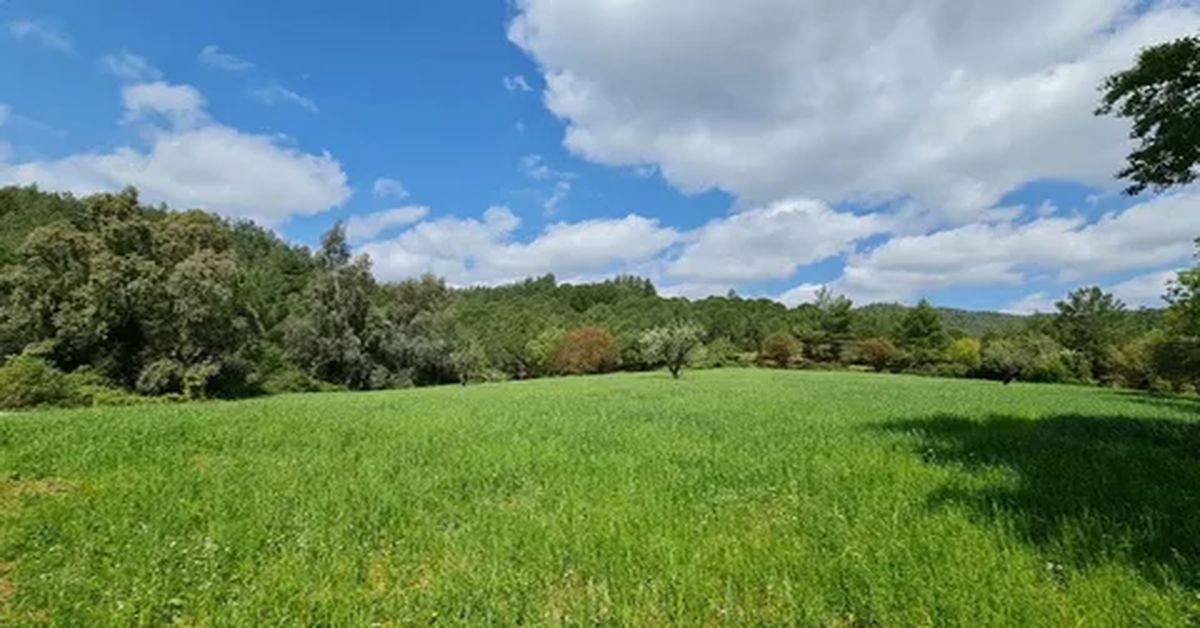 Yatırımlık Arsa Nasıl Bulunur?