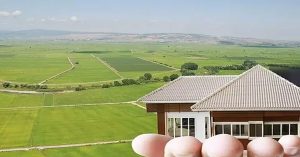 Arsa Alım Satımı İçin Gerekli Evraklar arsa alım satımı için gerekli evraklar